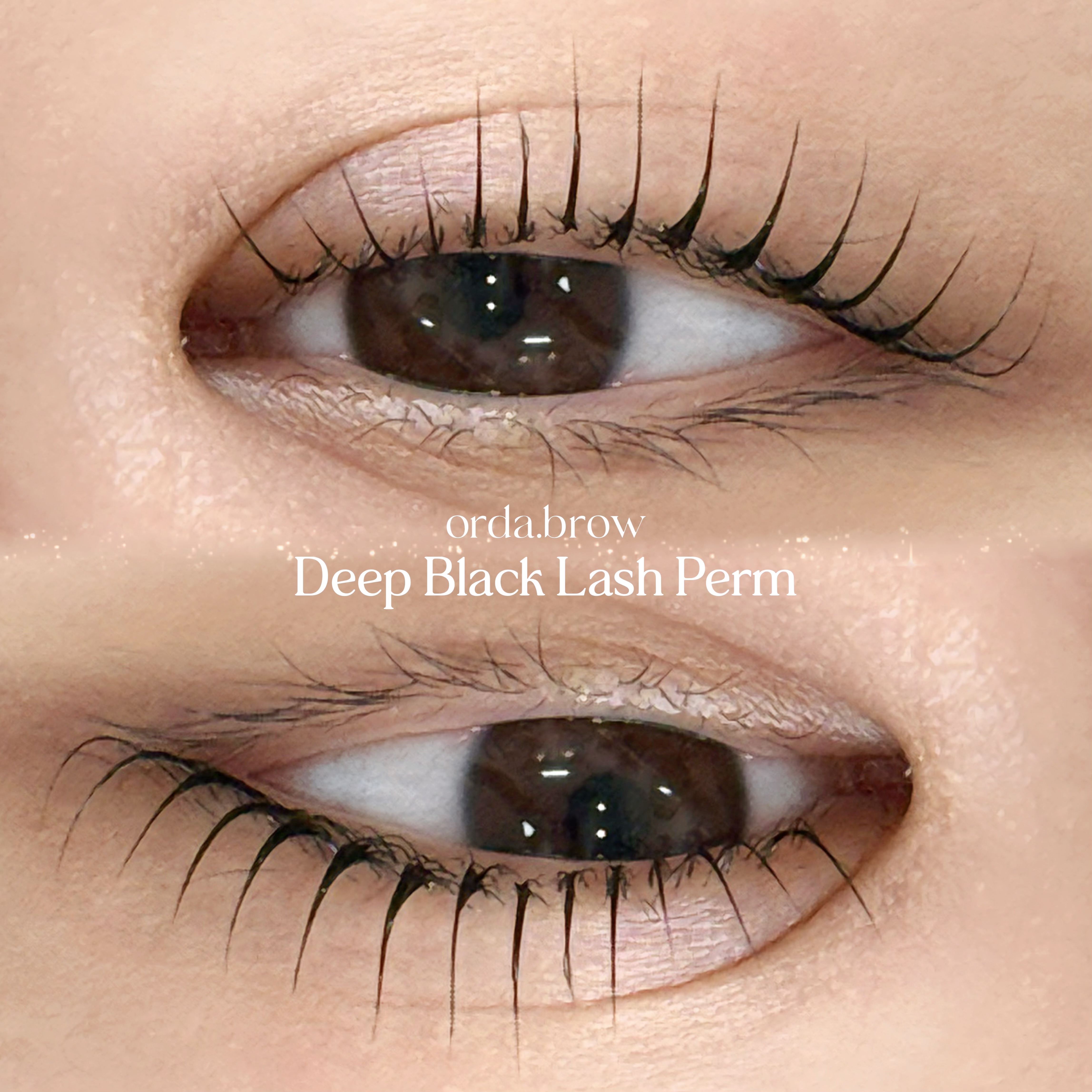 Deep Black Lash Perm