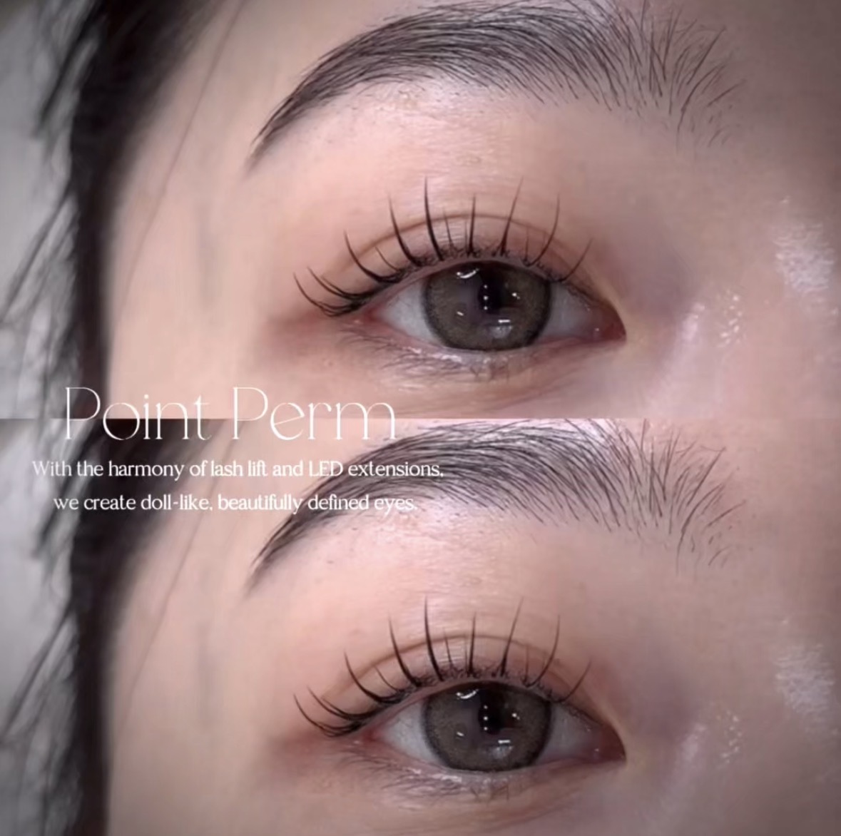 Point Perm 작업 결과